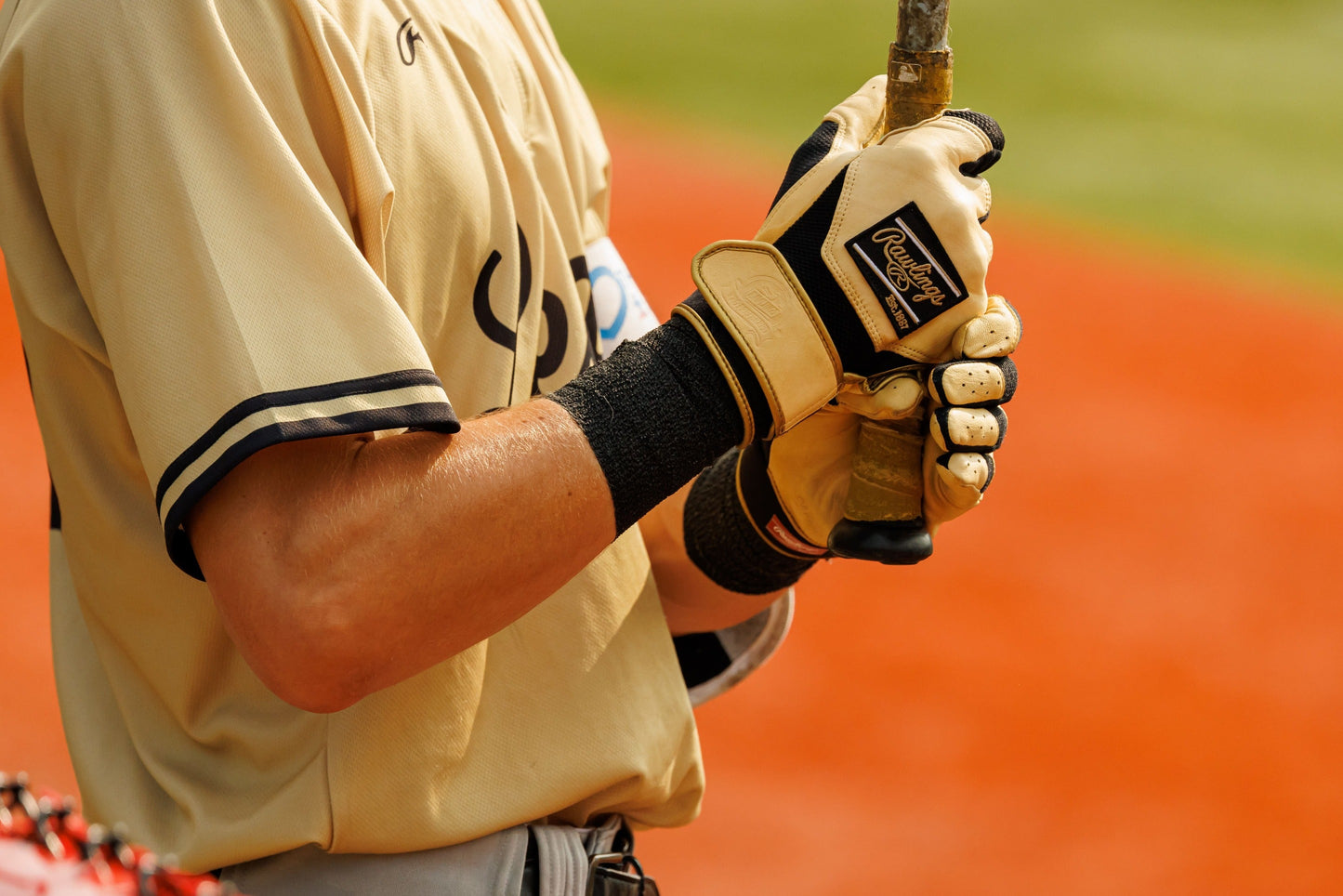 Rawlings Pro Preferred Batting Gloves