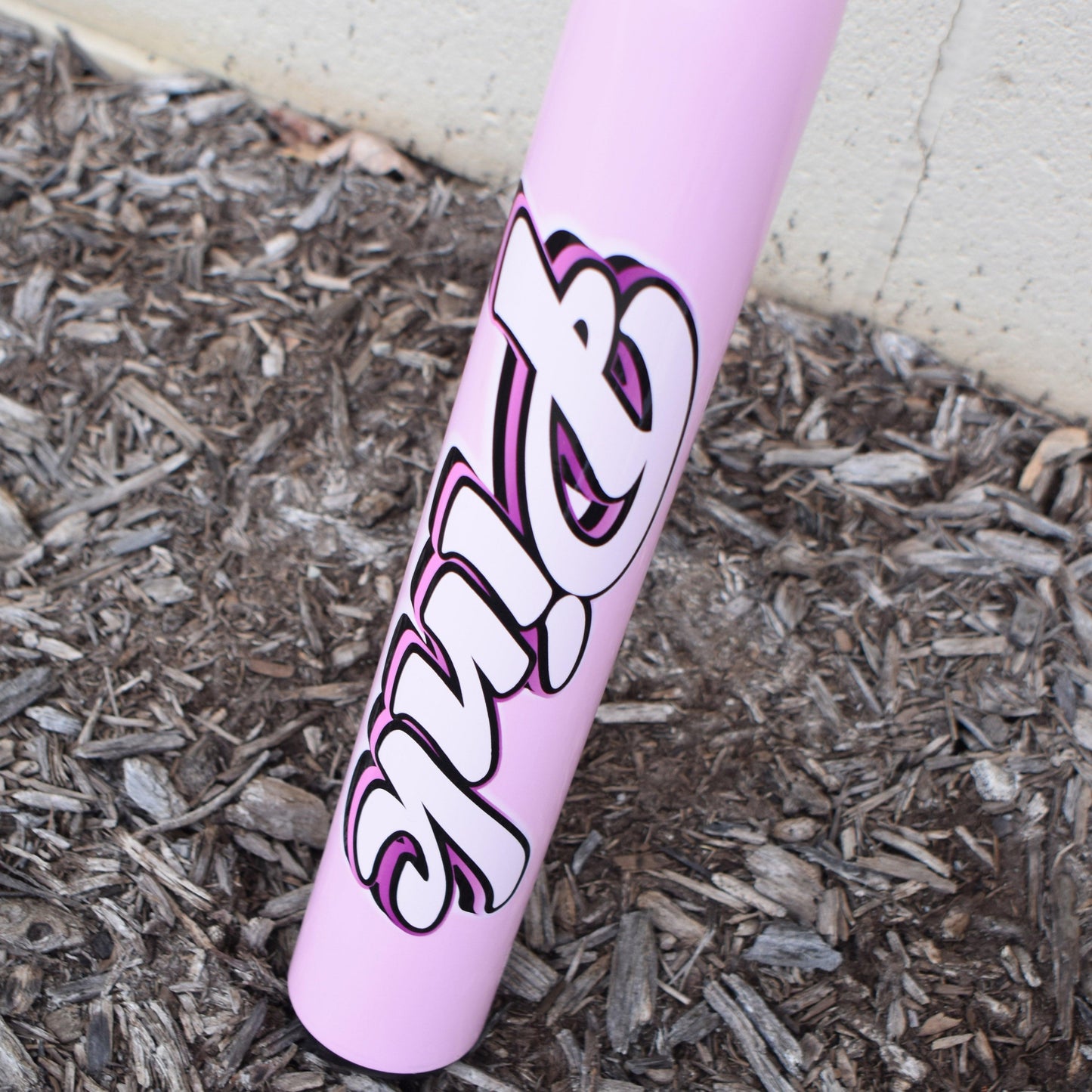 2024 Anarchy Pink Balanced USSSA Slowpitch Softball Bat ASPPNK24U (NO WARRANTY) – Product View | Smash It Sports | ash, compo