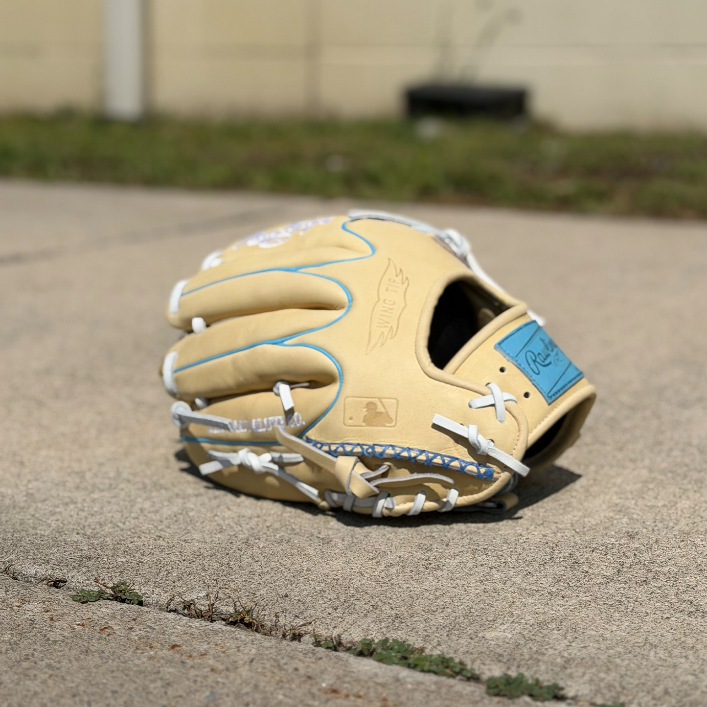 Rawlings Heart of the Hide 11.5" Gold Glove Club August 2026 Baseball Fielding Glove lowest price