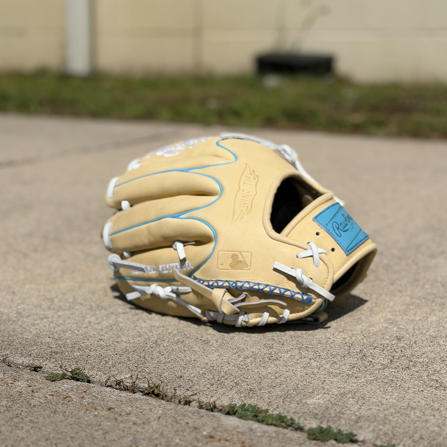 Rawlings Heart of the Hide 11.5" Gold Glove Club August 2026 Baseball Fielding Glove lowest price