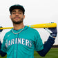 Victus Julio Rodriguez JRODSHOW Pro Reserve Wood Baseball Bat - VRWMJROD-YL/CB