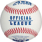 AD STARR Official League Baseballs (Ages 16 & Under) - AD 200 OL - Smash It Sports