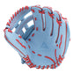 Anarchy Kip Leather Premium Softball Fielding Glove - AFG001 (Carolina/Red) - Smash It Sports