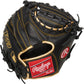 Rawlings R9 27-inch Catcher's Training Mitt/Glove - R9TRCM - Smash It Sports