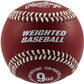 Rawlings Weighted Training Baseball – Product View | Smash It Sports | leather
