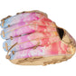Rawlings Heart of the Hide Sierra Romero 12" Fastpitch Glove - PROSR32C